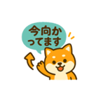 柴犬の元気な一言スタンプ（個別スタンプ：21）