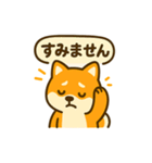柴犬の元気な一言スタンプ（個別スタンプ：22）