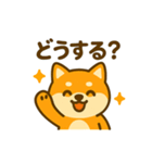 柴犬の元気な一言スタンプ（個別スタンプ：23）