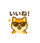 柴犬の元気な一言スタンプ（個別スタンプ：24）
