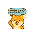 柴犬の元気な一言スタンプ（個別スタンプ：25）