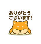 柴犬の元気な一言スタンプ（個別スタンプ：27）