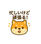 柴犬の元気な一言スタンプ（個別スタンプ：28）