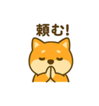 柴犬の元気な一言スタンプ（個別スタンプ：30）