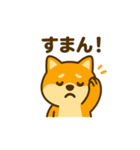 柴犬の元気な一言スタンプ（個別スタンプ：31）