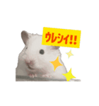 チロルのアニメーションスタンプ（個別スタンプ：5）