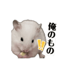 チロルのアニメーションスタンプ（個別スタンプ：9）