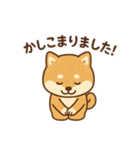 モフモフ敬語どうぶつスタンプ（個別スタンプ：1）