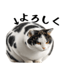 でぶ猫。(どんなシーンでも使える便利返信)（個別スタンプ：4）