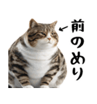 でぶ猫。(どんなシーンでも使える便利返信)（個別スタンプ：8）
