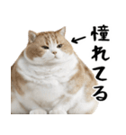 でぶ猫。(どんなシーンでも使える便利返信)（個別スタンプ：10）