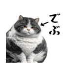 でぶ猫。(どんなシーンでも使える便利返信)（個別スタンプ：12）