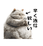 でぶ猫。(どんなシーンでも使える便利返信)（個別スタンプ：17）