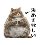 でぶ猫。(どんなシーンでも使える便利返信)（個別スタンプ：18）