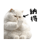 でぶ猫。(どんなシーンでも使える便利返信)（個別スタンプ：20）