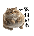 でぶ猫。(どんなシーンでも使える便利返信)（個別スタンプ：22）