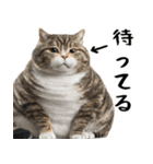 でぶ猫。(どんなシーンでも使える便利返信)（個別スタンプ：24）