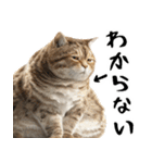 でぶ猫。(どんなシーンでも使える便利返信)（個別スタンプ：31）