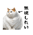 でぶ猫。(どんなシーンでも使える便利返信)（個別スタンプ：36）
