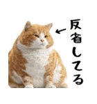 でぶ猫。(どんなシーンでも使える便利返信)（個別スタンプ：37）