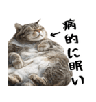 でぶ猫。(どんなシーンでも使える便利返信)（個別スタンプ：40）