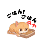 ニャンて可愛いスタンプ（個別スタンプ：6）