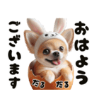 ❤️イースターエッグとだるいチワワ犬（個別スタンプ：1）