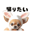 ❤️イースターエッグとだるいチワワ犬（個別スタンプ：3）
