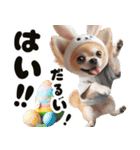 ❤️イースターエッグとだるいチワワ犬（個別スタンプ：4）