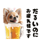 ❤️イースターエッグとだるいチワワ犬（個別スタンプ：7）