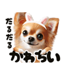 ❤️イースターエッグとだるいチワワ犬（個別スタンプ：8）