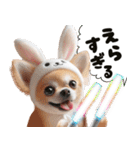 ❤️イースターエッグとだるいチワワ犬（個別スタンプ：9）