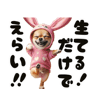 ❤️イースターエッグとだるいチワワ犬（個別スタンプ：11）