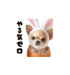❤️イースターエッグとだるいチワワ犬（個別スタンプ：19）