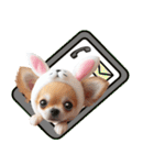 ❤️イースターエッグとだるいチワワ犬（個別スタンプ：20）