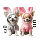 ❤️イースターエッグとだるいチワワ犬（個別スタンプ：21）
