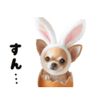 ❤️イースターエッグとだるいチワワ犬（個別スタンプ：26）