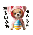 ❤️イースターエッグとだるいチワワ犬（個別スタンプ：27）