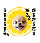 ❤️イースターエッグとだるいチワワ犬（個別スタンプ：30）