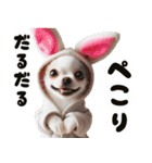 ❤️イースターエッグとだるいチワワ犬（個別スタンプ：31）