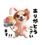 ❤️イースターエッグとだるいチワワ犬（個別スタンプ：32）