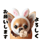 ❤️イースターエッグとだるいチワワ犬（個別スタンプ：33）