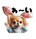 ❤️イースターエッグとだるいチワワ犬（個別スタンプ：35）