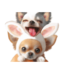 ❤️イースターエッグとだるいチワワ犬（個別スタンプ：37）