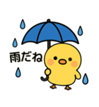 ぴよたんといっしょ vol.2 【梅雨初夏編】（個別スタンプ：2）