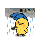 ぴよたんといっしょ vol.2 【梅雨初夏編】（個別スタンプ：4）