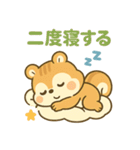 しましまシマリスの毎日スタンプ（個別スタンプ：38）