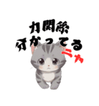 ちょっと辛口なニャンコの独り言（個別スタンプ：3）