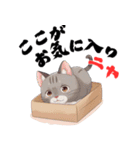 ちょっと辛口なニャンコの独り言（個別スタンプ：7）