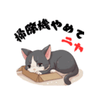 ちょっと辛口なニャンコの独り言（個別スタンプ：16）